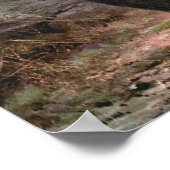 Chamois by CE Swan, Goats in the Mountains ポスター (角)