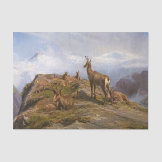 Chamois Goats in the Mountains (by Rosa Bonheur) 薄葉紙 (正面)