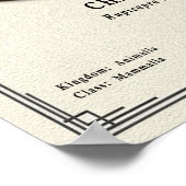 Chamois Zoology Series ポスター (角)