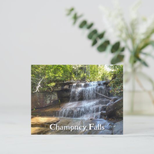 Champney Falls White Mountains Waterfall NH ポストカード (スタンド正面)