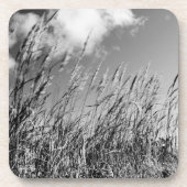 champs de blé コースター (正面)