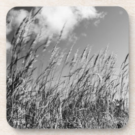 champs de blé コースター