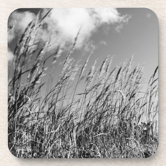 champs de blé コースター (正面)