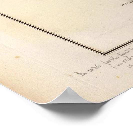 Champs Phlegreens ポスター (角)