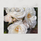  Change of Address Romantic Rose ポストカード (正面)