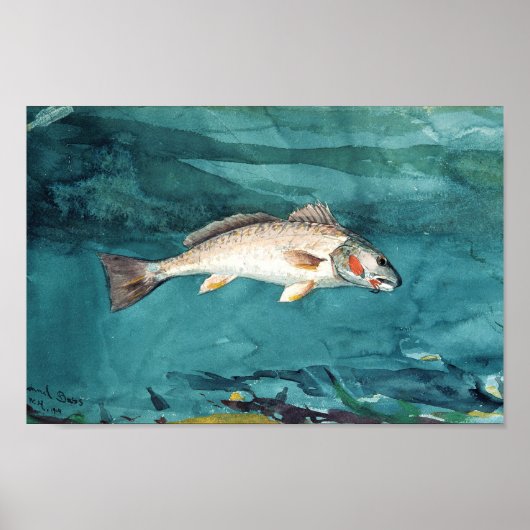 Channel Bass American 絵画's by Homer ポスター (正面)