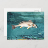 Channel Bass American 絵画's by Homer ポストカード (正面/裏面)