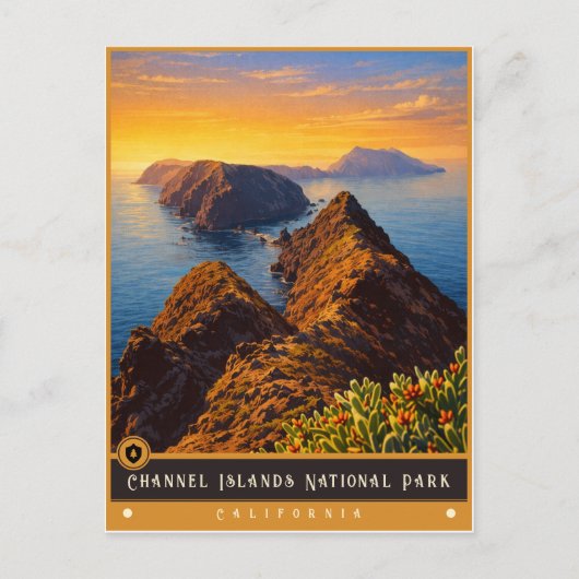 Channel Islands National Park | Vintage Postcard ポストカード (正面)