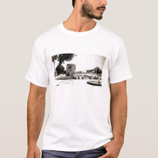 Chanuteカンザス猿の島 Tシャツ