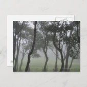 Chao dos Louros, Madeira，ポルトガル ポストカード (正面/裏面)