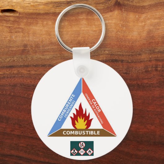 Chapa Iridiscente Explosiva キーホルダー (裏面)