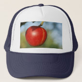Chapeau de camion Apple キャップ (正面)