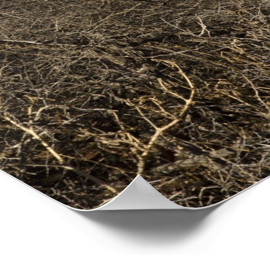 Chapel of the Holy Cross ポスター (角)