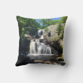 Chapman Falls クッション (裏面)