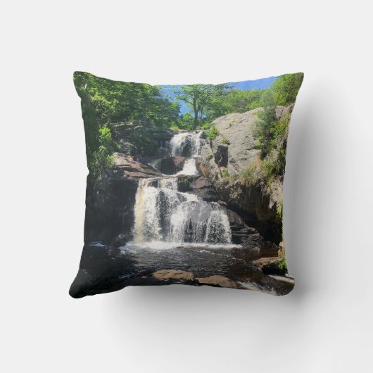 Chapman Falls クッション (裏面)