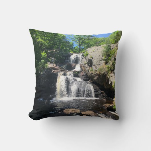 Chapman Falls クッション (正面)