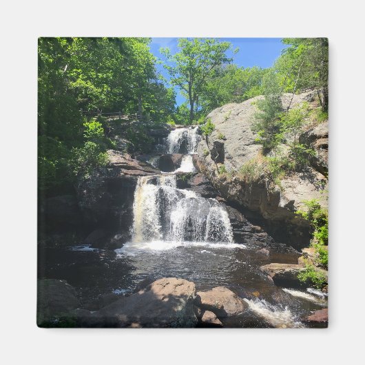 Chapman Falls マグネット (正面)