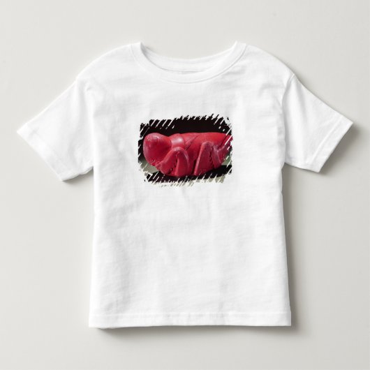 Chapultepec、メキシコ、c.1500 (ケルンからのバッタ トドラーTシャツ (正面)
