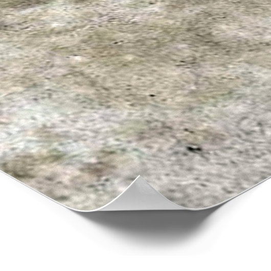 Charles Blondin - Acrobat ポスター (角)