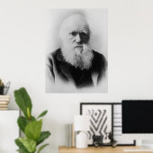 Charles Darwin Portrait by Elliott and Fry ポスター (ホームオフィス)