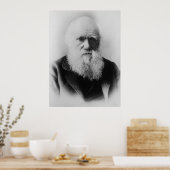 Charles Darwin Portrait by Elliott and Fry ポスター (キッチン)