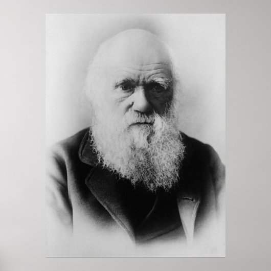 Charles Darwin Portrait by Elliott and Fry ポスター (正面)