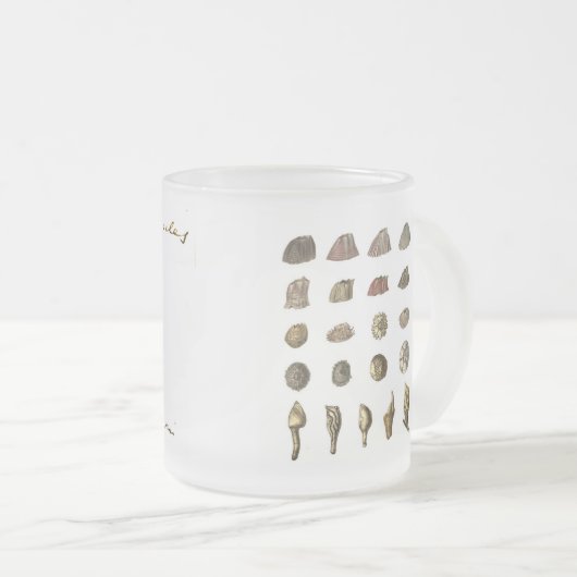Charles Darwin's Barnacle Mug フロストグラスマグカップ (正面右)