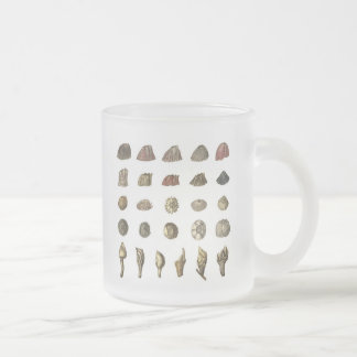 Charles Darwin's Barnacle Mug フロストグラスマグカップ