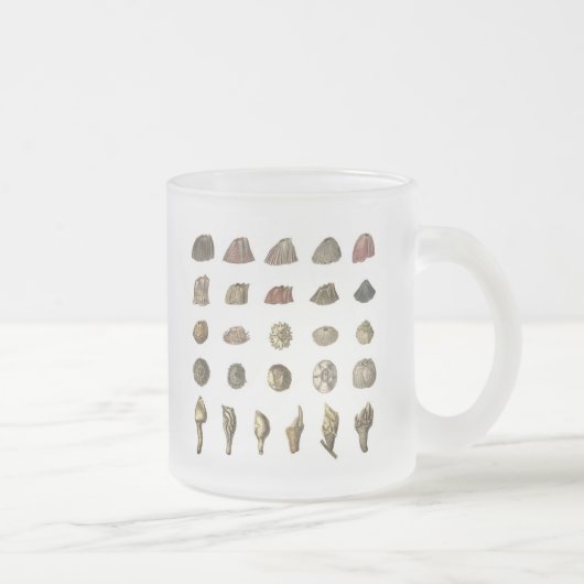 Charles Darwin's Barnacle Mug フロストグラスマグカップ (右)