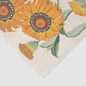 Charles Lemaire著Gazania splendens (hybride) 薄葉紙 (詳細)