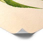 Charles Steadmanによる桃(プルーヌス王室のペルシカ) ポスター (角)