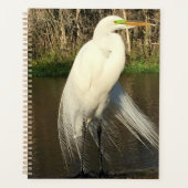 Charlie プランナー手帳 (正面)