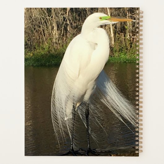 Charlie プランナー手帳 (裏面)