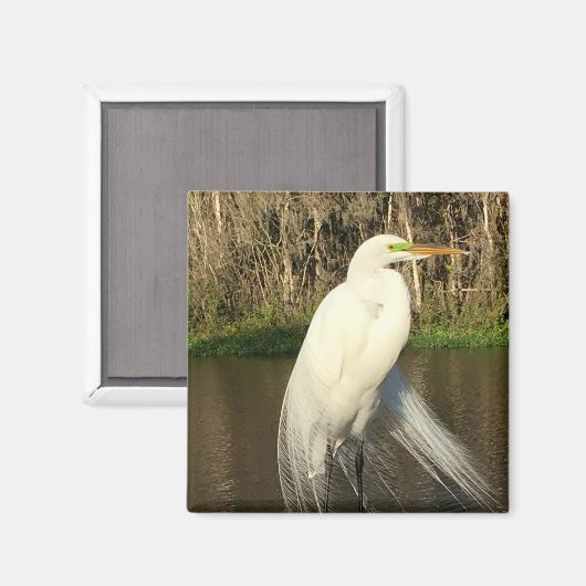 Charlie マグネット (正面/裏面)