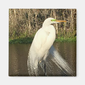 Charlie マグネット (正面)