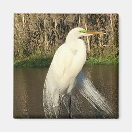 Charlie マグネット