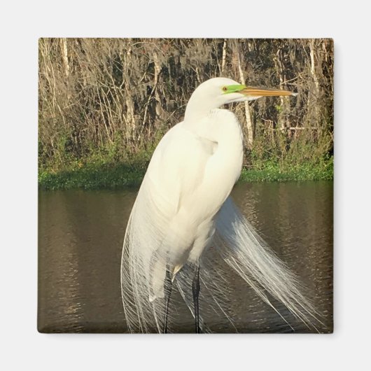 Charlie マグネット (正面)