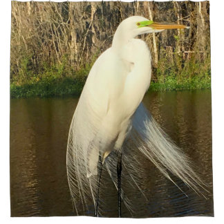 Charlie The Great Egret シャワーカーテン