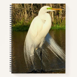 Charlie The Great Egret ノートブック