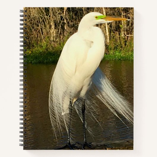 Charlie The Great Egret ノートブック (正面)