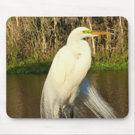 Charlie The Great Egret マウスパッド