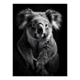 Charming Black & White Koala Fine Art Print | ポスター
