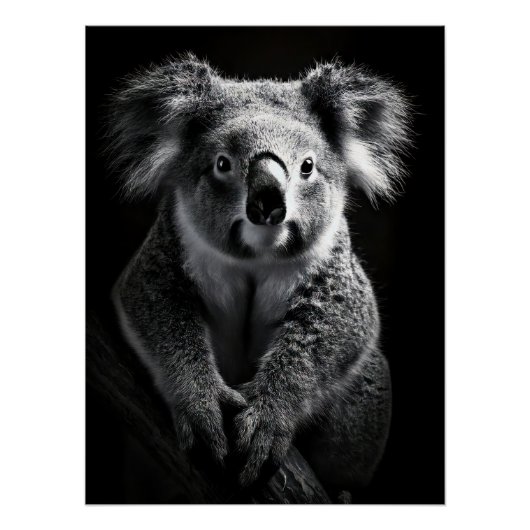 Charming Black & White Koala Fine Art Print | ポスター (正面)