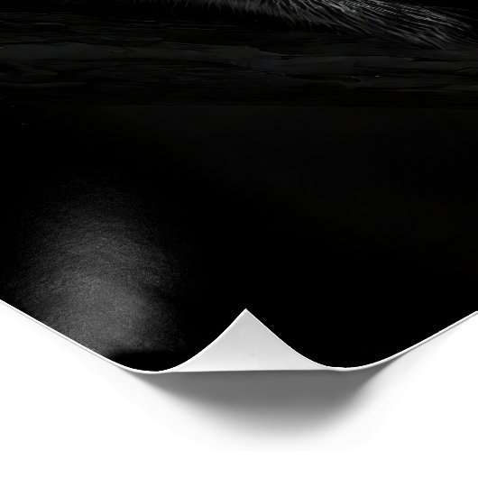 Charming Black & White Koala Fine Art Print | ポスター (コーナー)