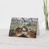 Charming Catnap in Greenhouse Encouragement Card カード (正面)
