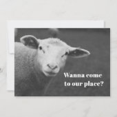 Charming Pesach Invitation 招待状 (正面)