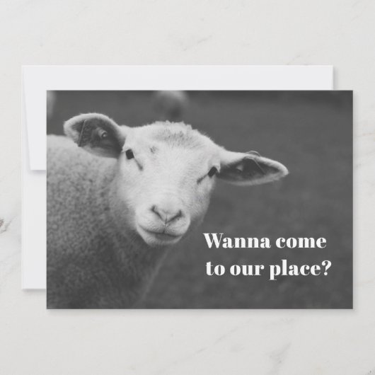 Charming Pesach Invitation 招待状 (正面)