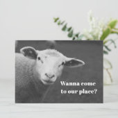 Charming Pesach Invitation 招待状 (スタンド正面)