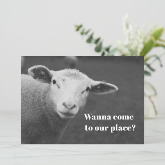 Charming Pesach Invitation 招待状 (スタンド正面)