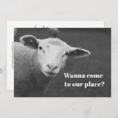 Charming Pesach Invitation 招待状 (正面/裏面)